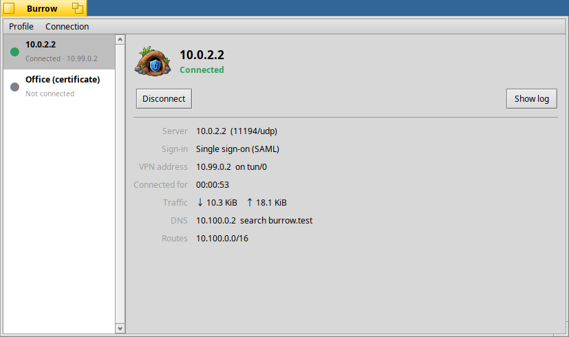 Burrow: A connected test VPN profile, with connection details, traffic and routes.